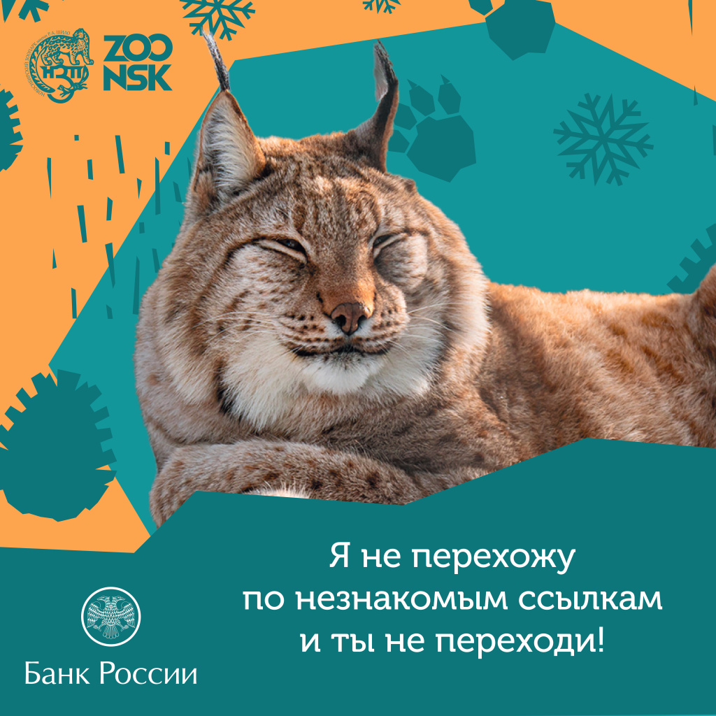 Рысь зоопарк.jpg