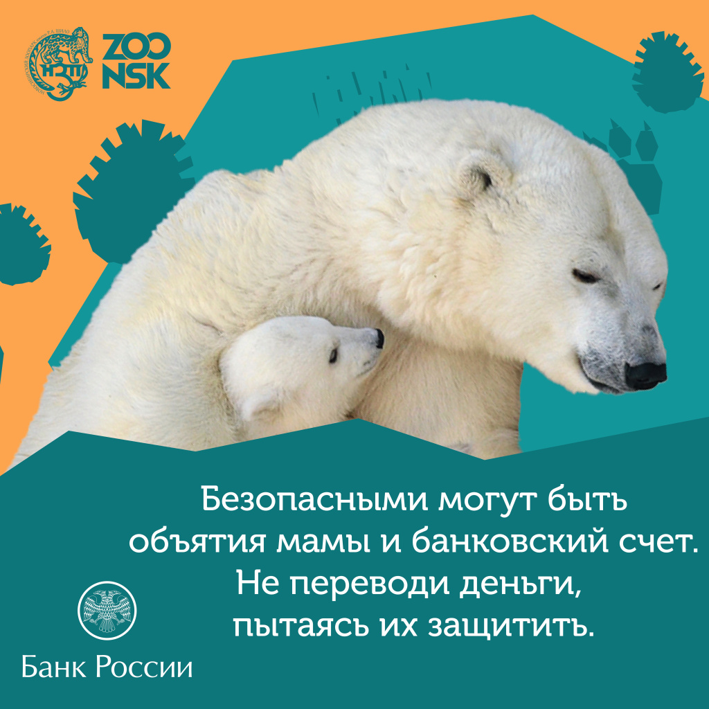 Медведь два зоопарк.jpg